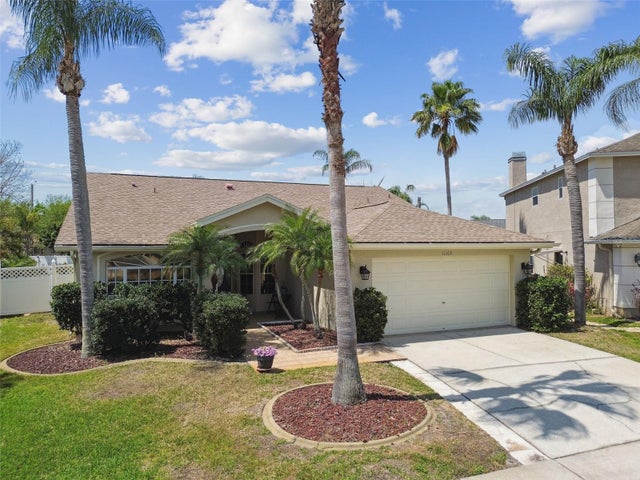 11309 Clayridge Drive, TAMPA