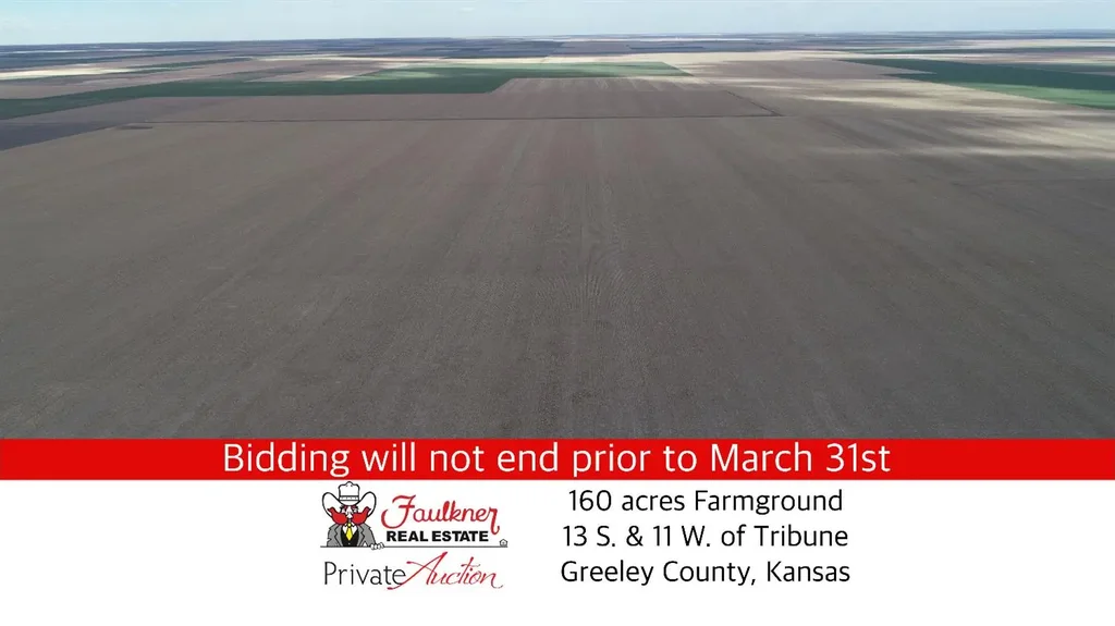 6 South Road, Tribune