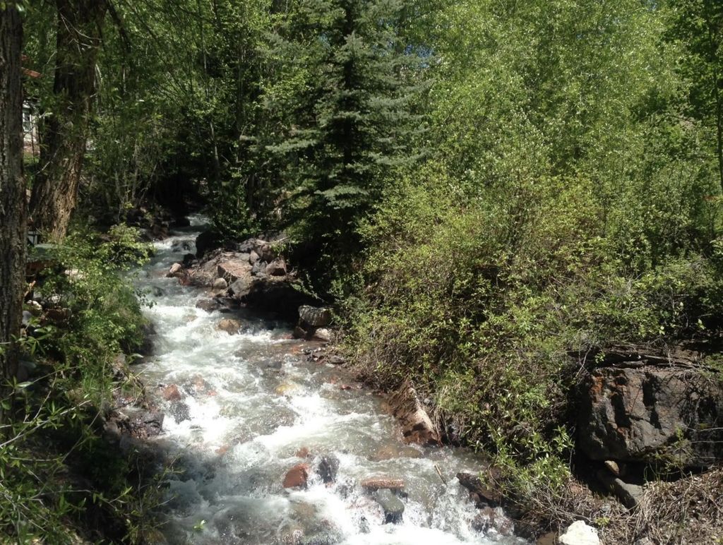 475/477 W Galena Avenue, Telluride