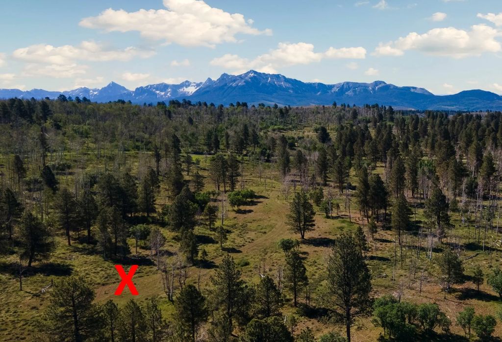 2991 Brown Ranch Road, Placerville