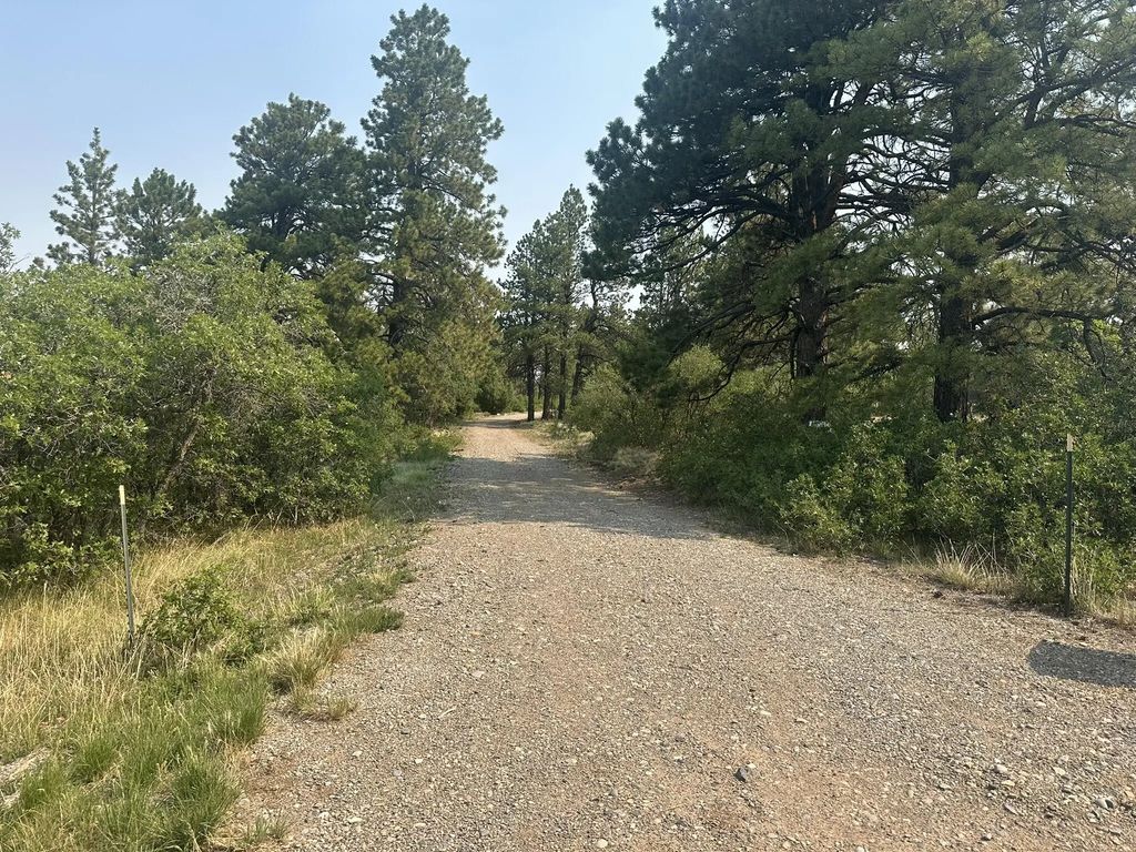 135 Canyon Rim Loop, Placerville