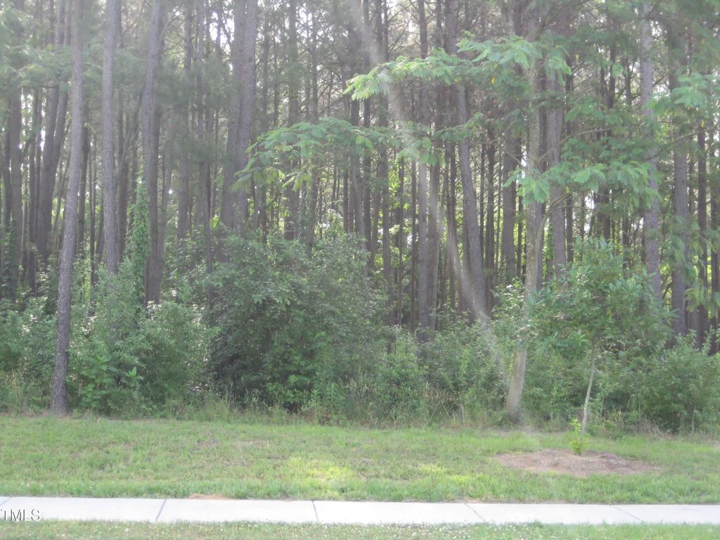 0 Us Hwy 1, Youngsville