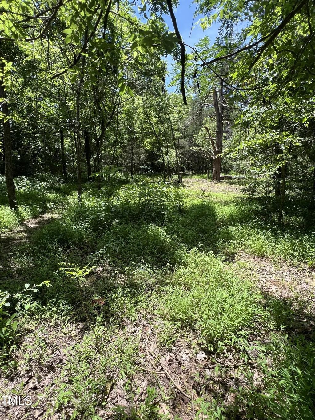 2201 Moorefields Rd, Hillsborough