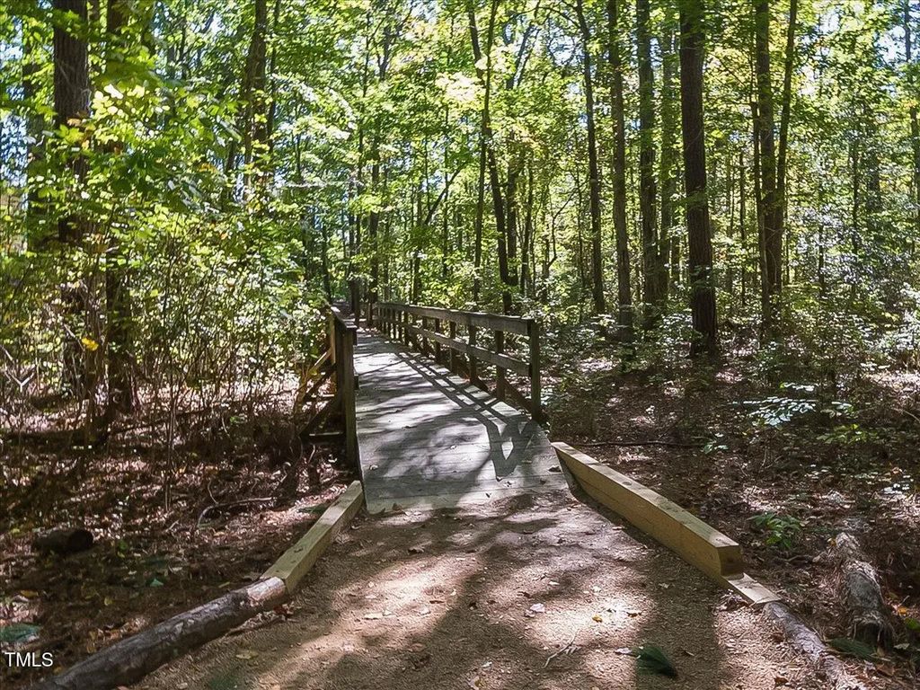 151 Swan Lake, Chapel Hill