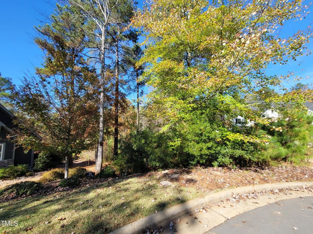149 Brandy Mill, Pittsboro