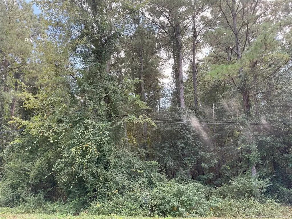 Lot 2 E Williams Street, Autryville