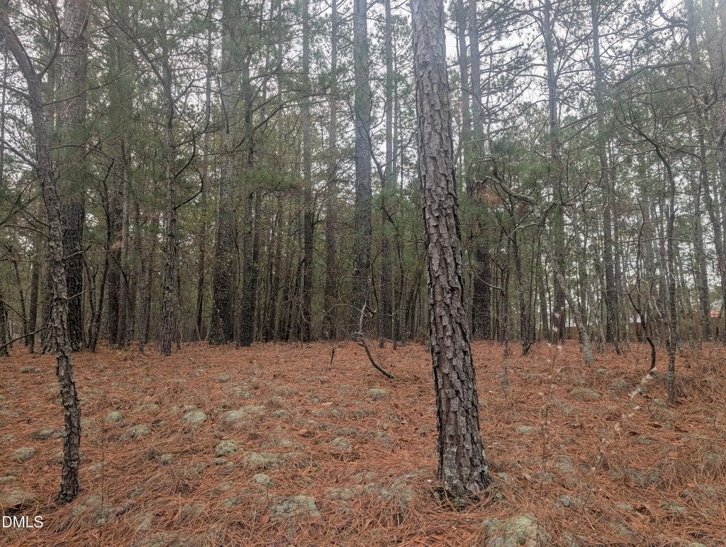 13 Saw Grass Road, Eagle Springs