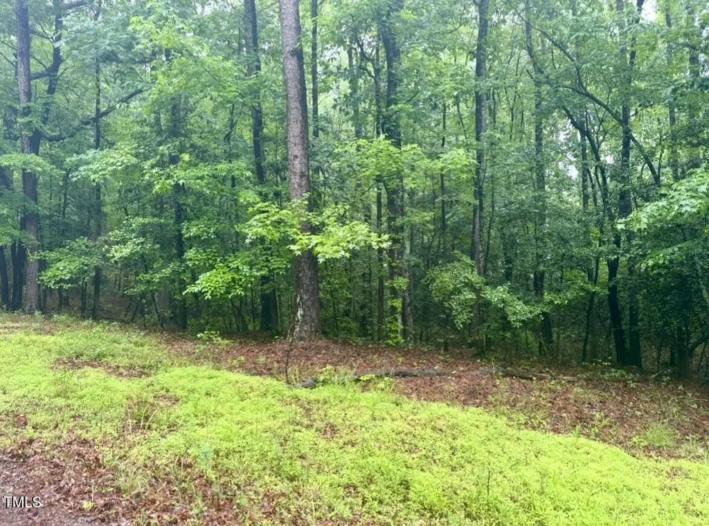 0 Chartres Street, Fuquay Varina