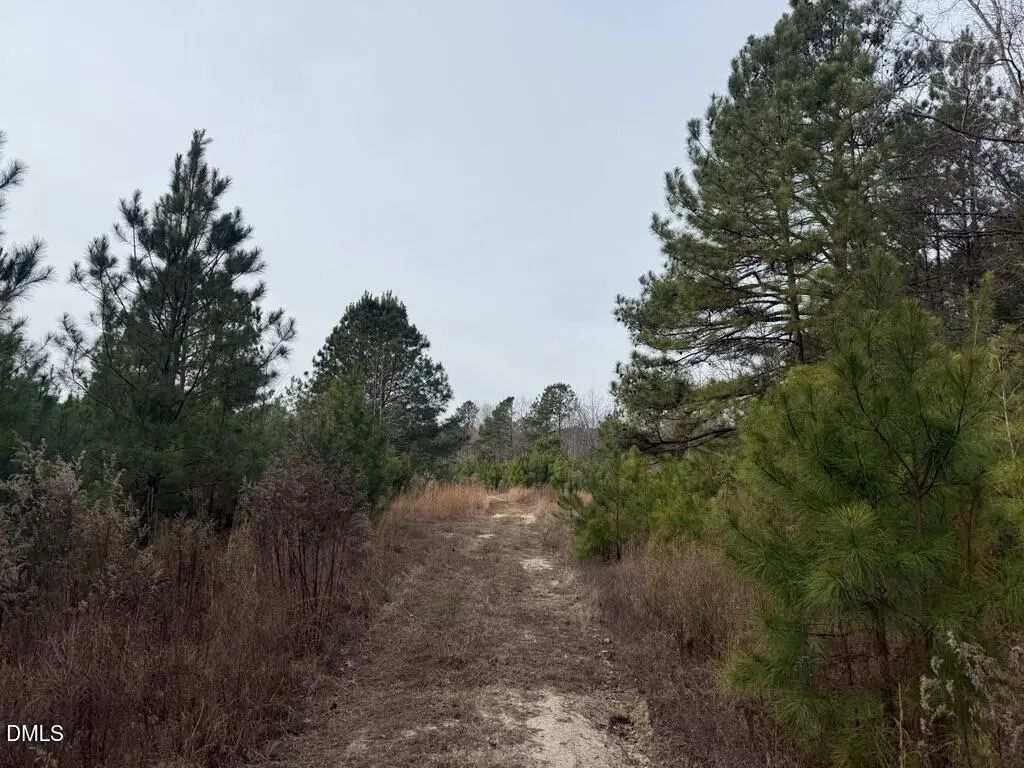 0 Murphy Road, Youngsville