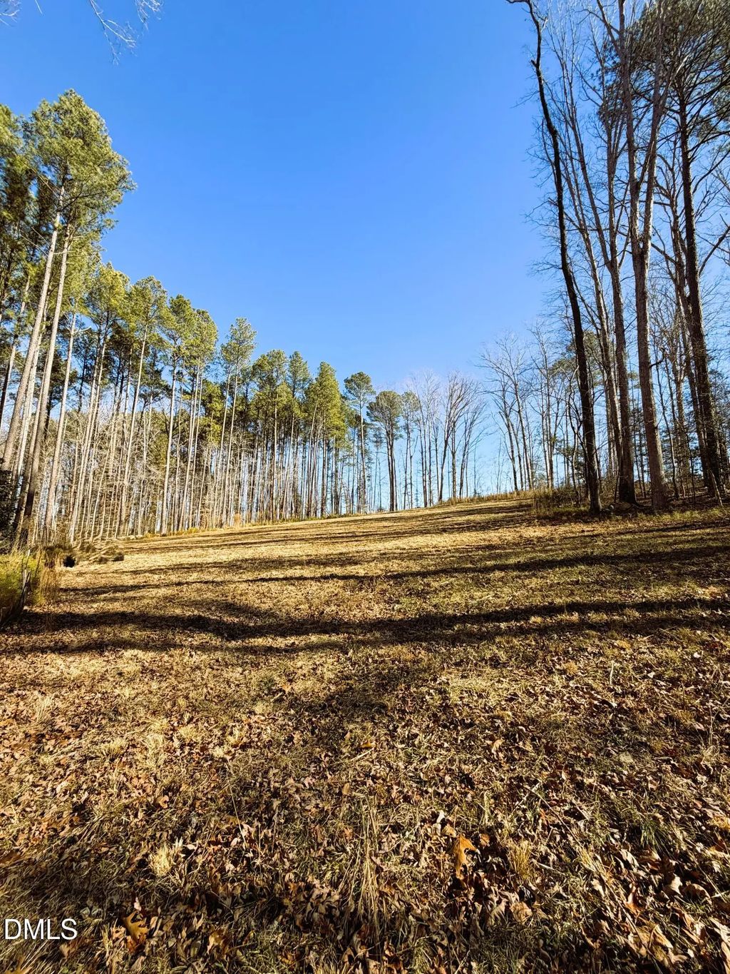 318 Jones Ferry Road, Pittsboro