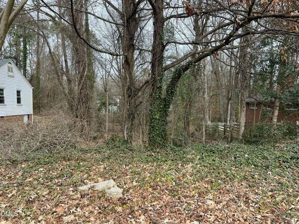 611 E Lavender Avenue, Durham