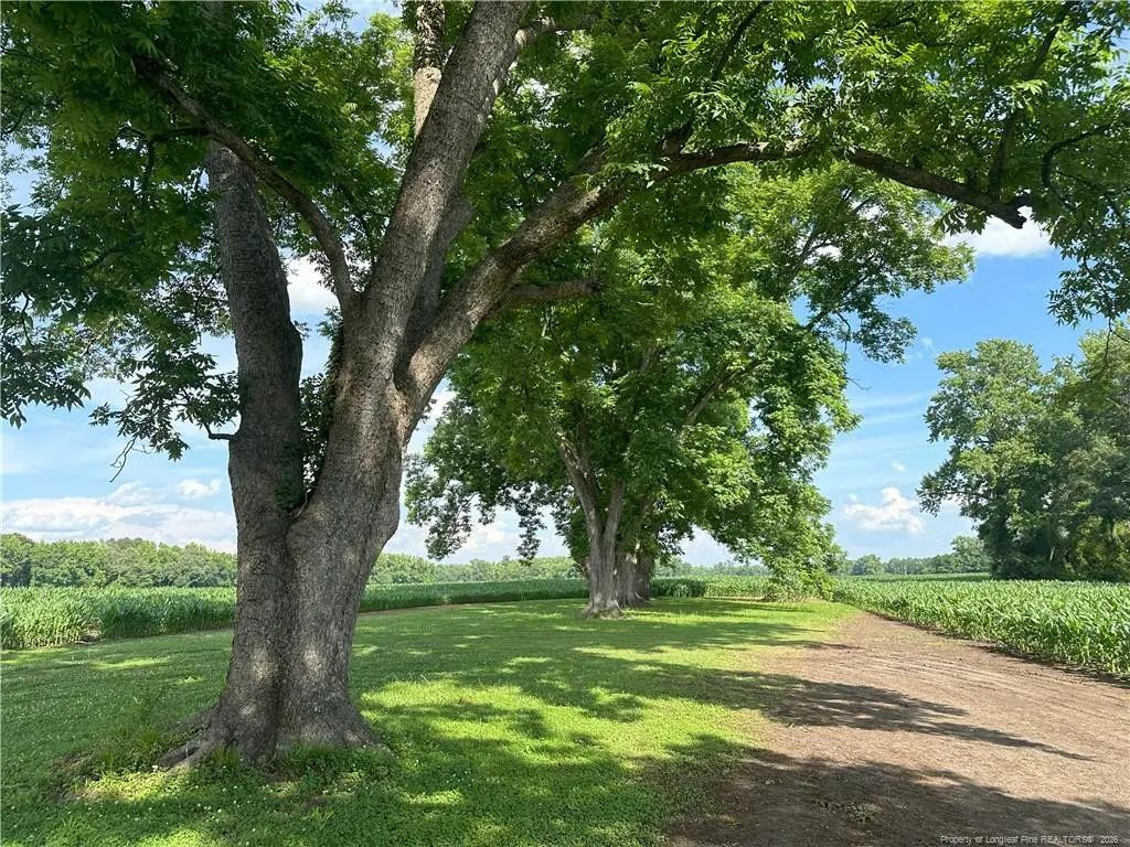 Lot A Pleasant Hope Road, Lumberton