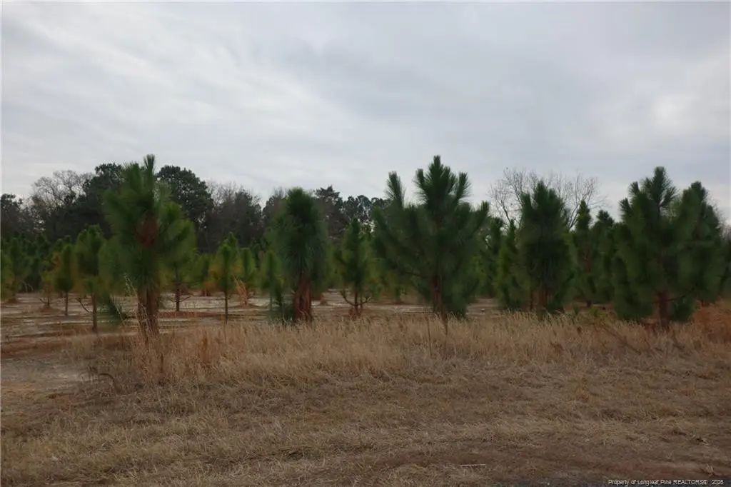 Lot 41 Stuarts Mill Road, Fairmont
