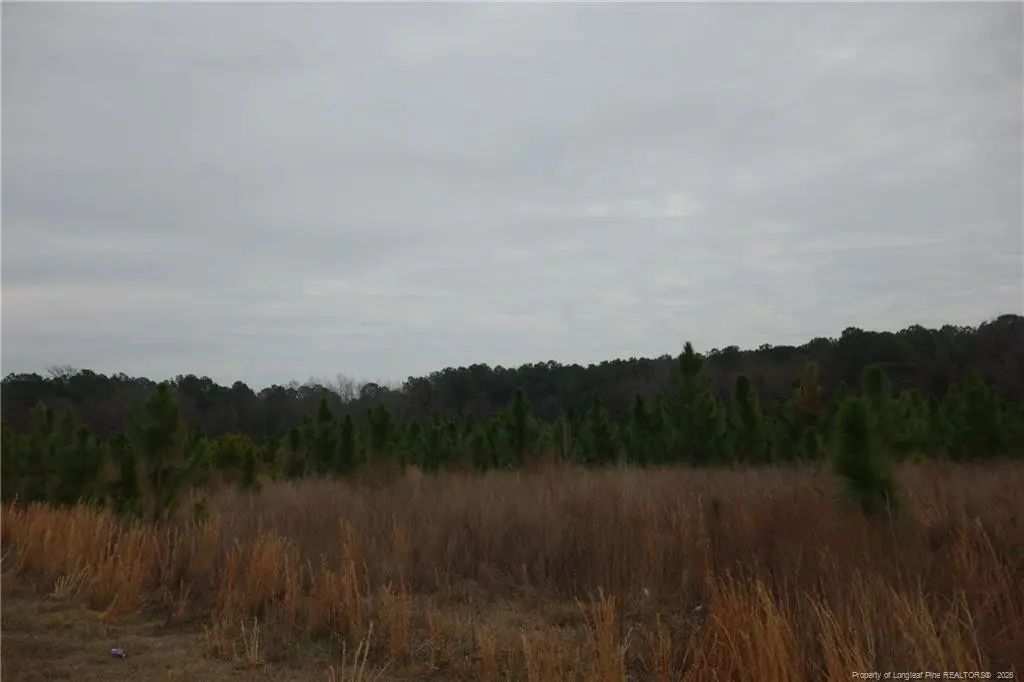Lot 34 Stuarts Mill Road, Fairmont