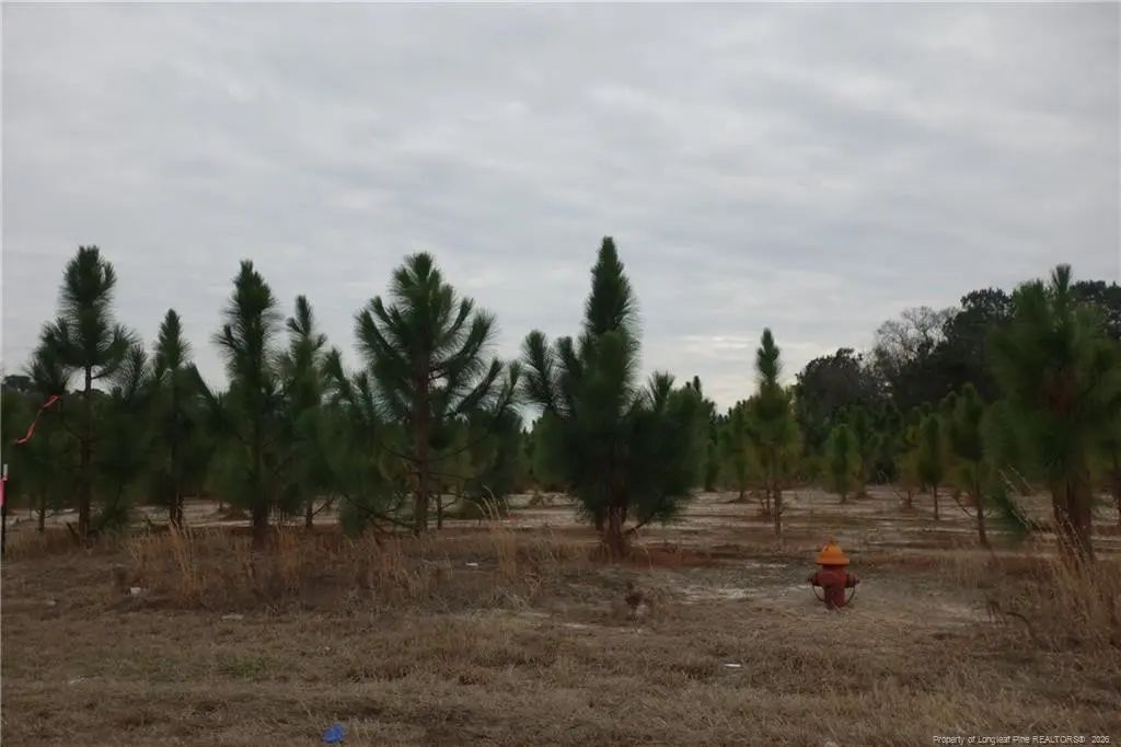 Lot 32 Stuarts Mill Road, Fairmont