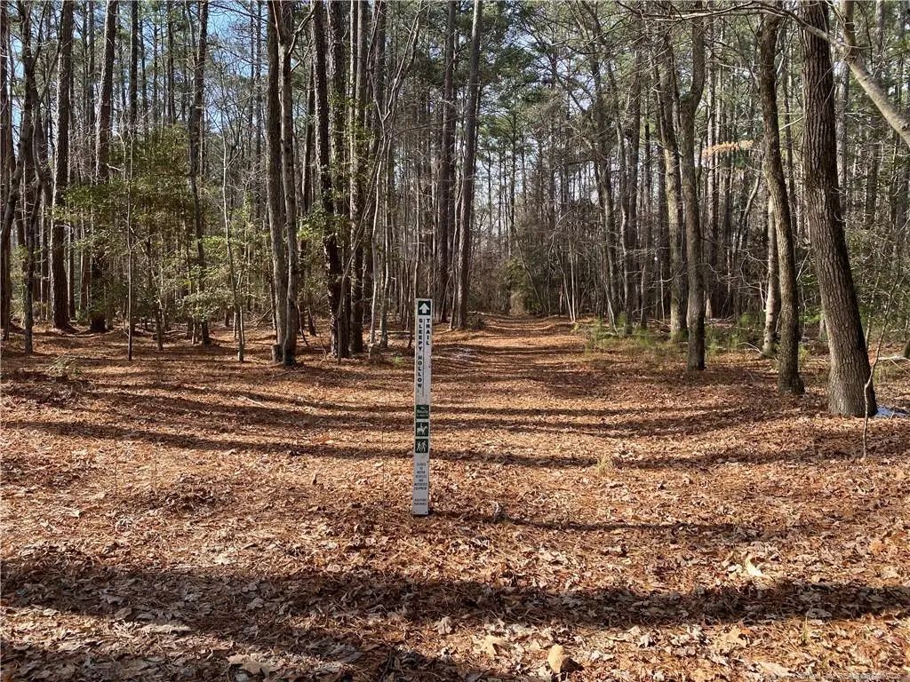Western Trail, Carthage