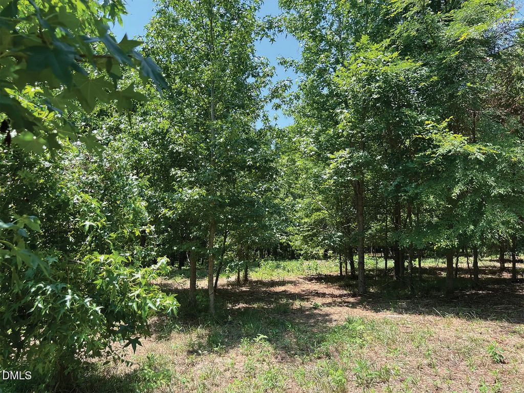 2338 Bowers Store Road, Siler City