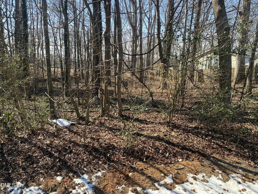 0000 Lannie Drive, Hillsborough