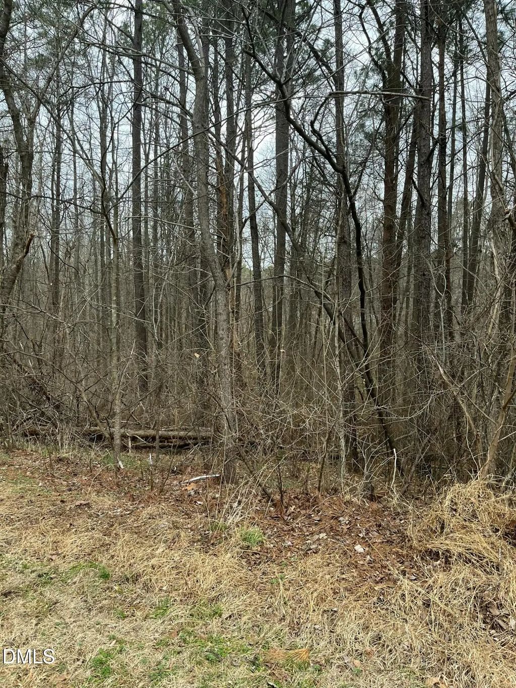 93 Lot Haynoke Drive, Graham