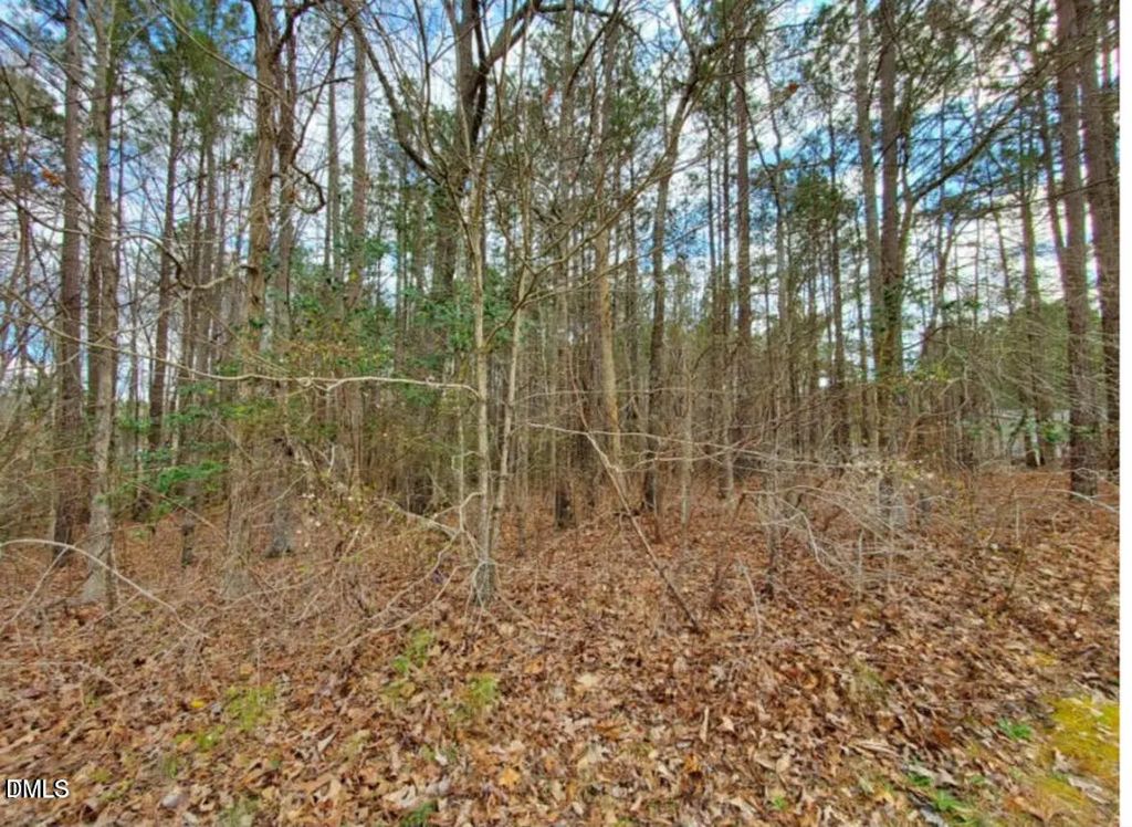 195 Owl Drive, Youngsville