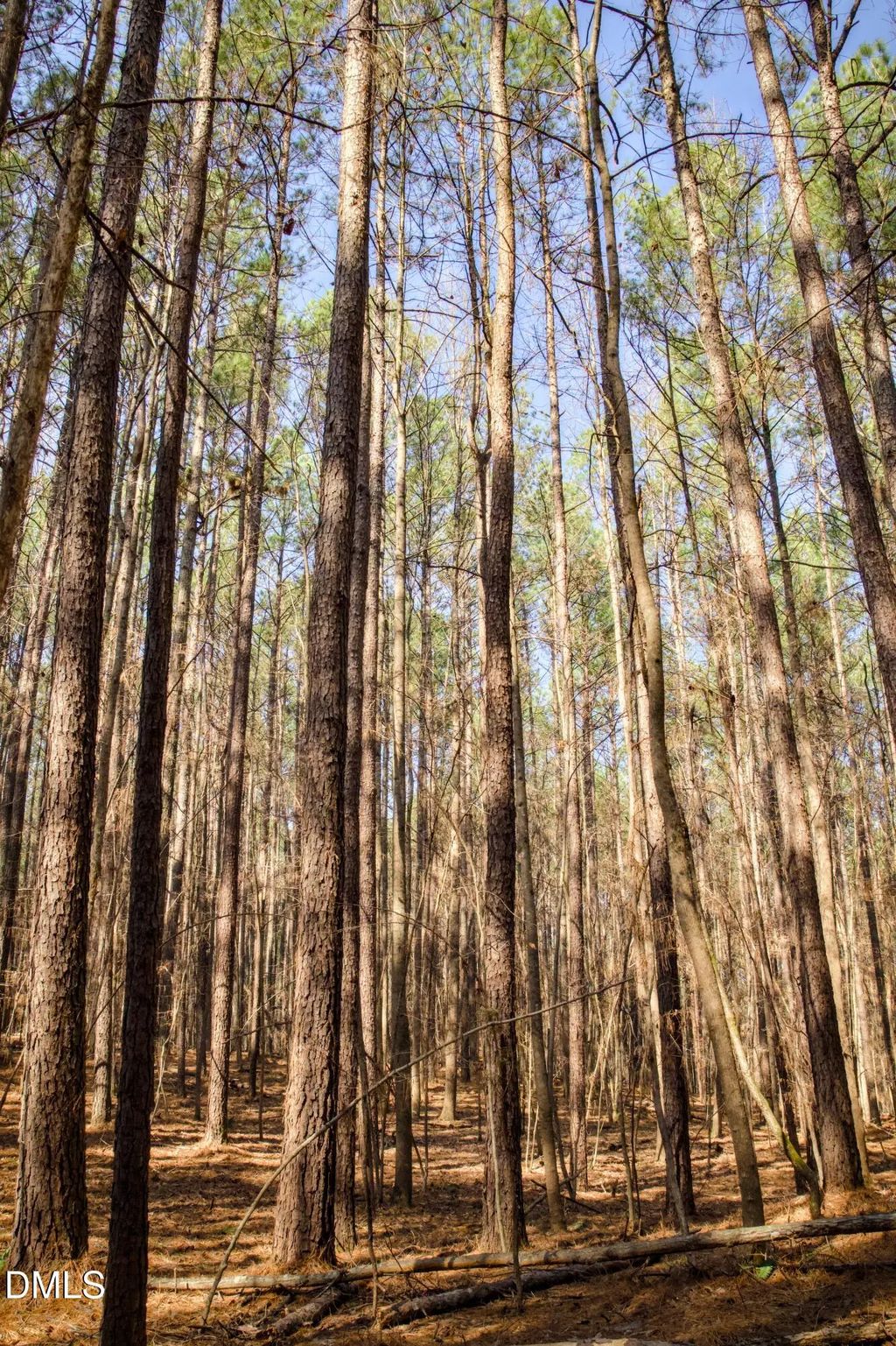 7023 Southern Trail, Chapel Hill