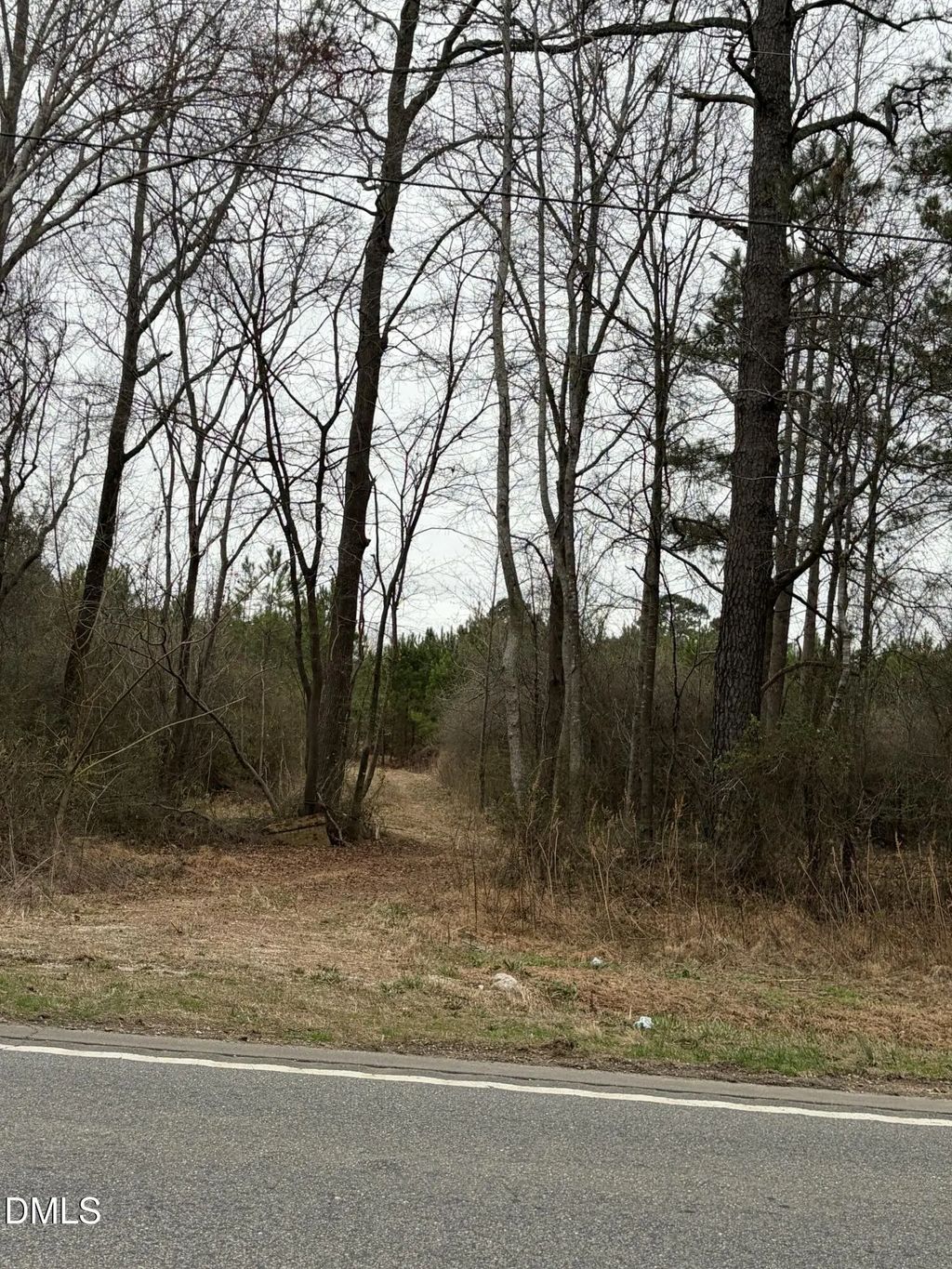 1130 Us 401 S, Lillington