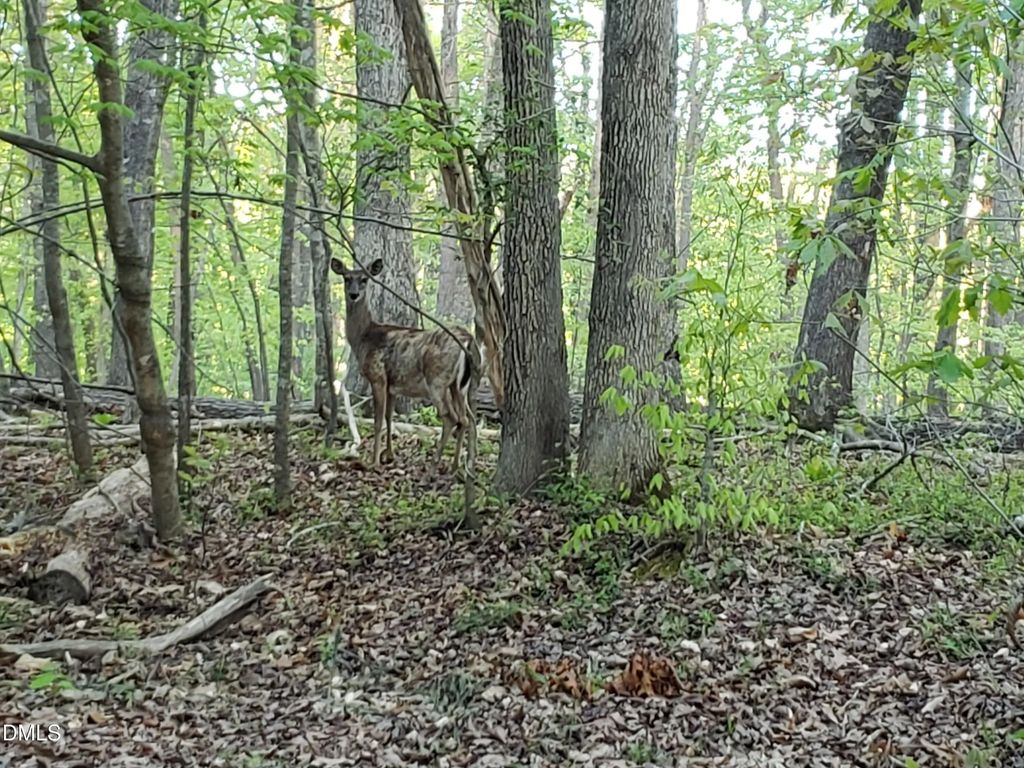 Lot 2 Deer Run Trail, Hillsborough