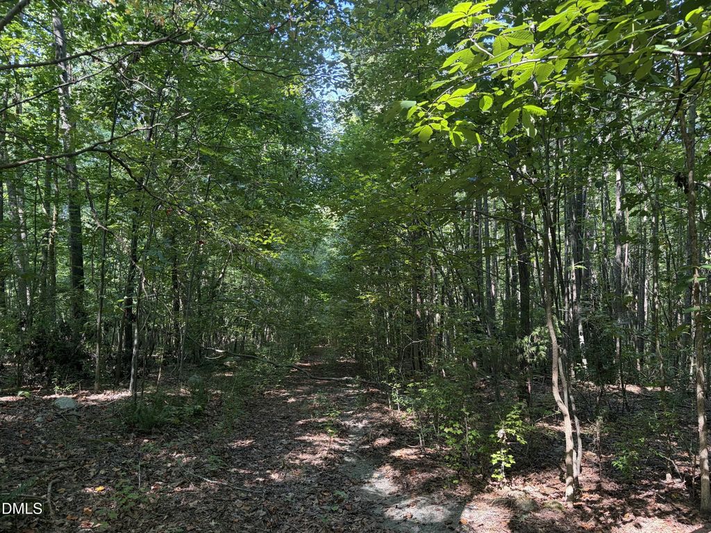 Lot 1 Marvin Edwards Lane, Chapel Hill