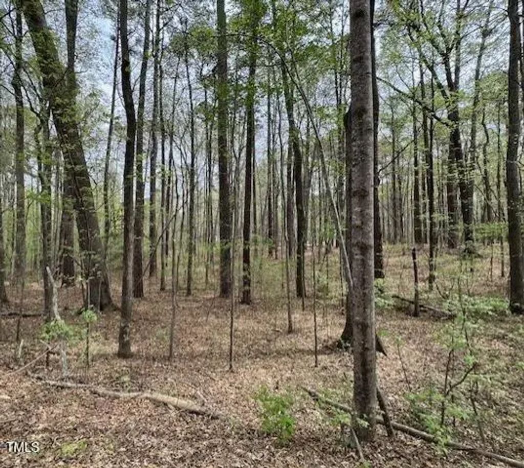 0 Lot 336 Forest Hills Drive, Littleton