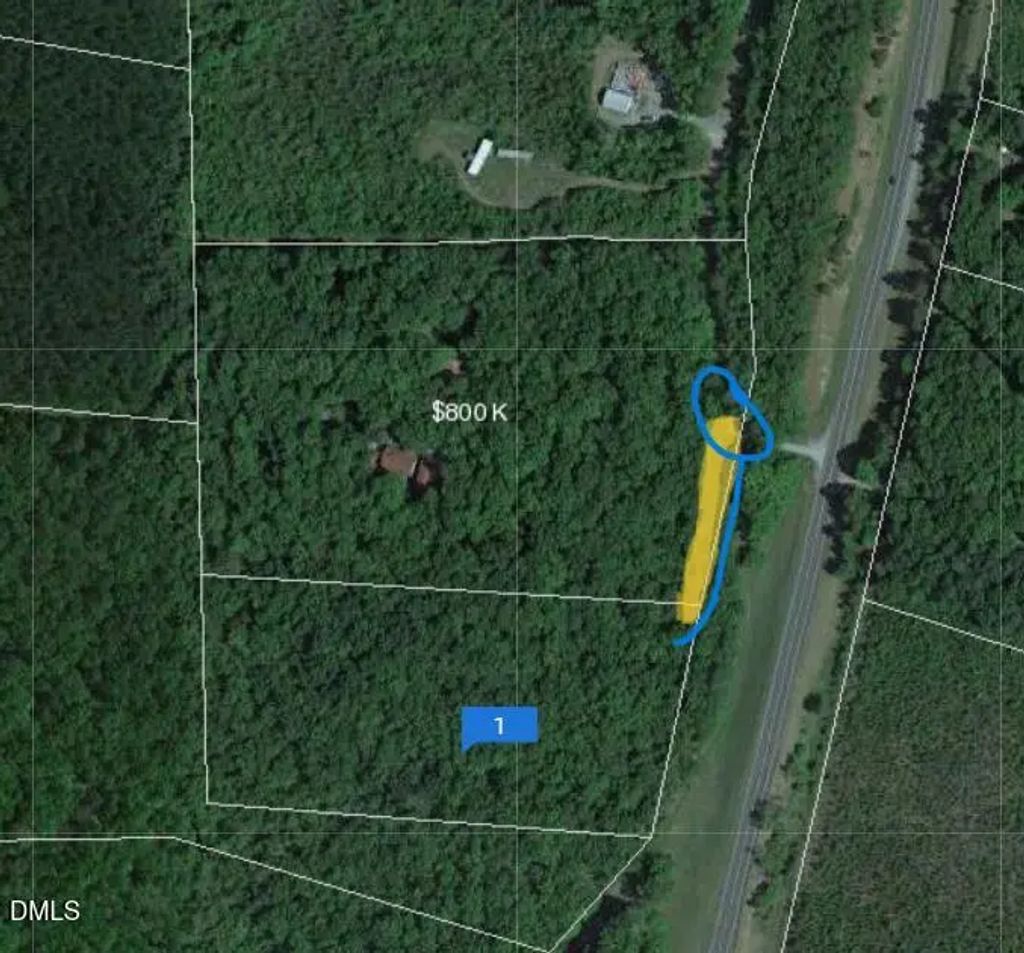 25 Screech Owl, Moncure