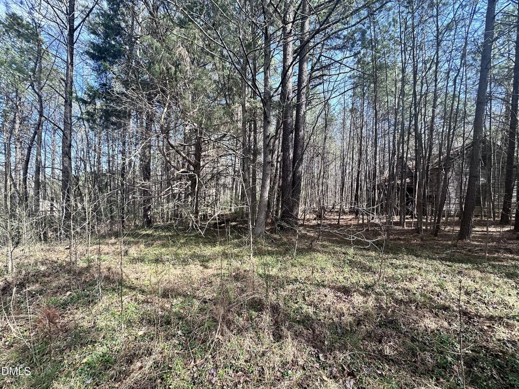 0 Pleasant Hill Church Road, Siler City