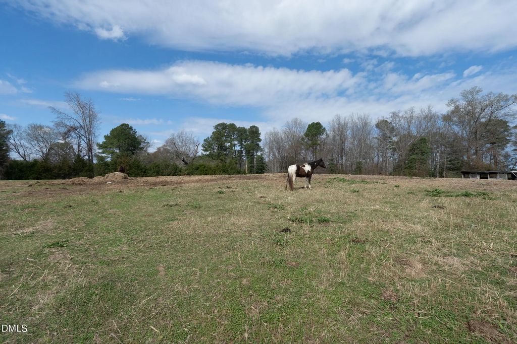 5220 Pulley Town Road, Zebulon