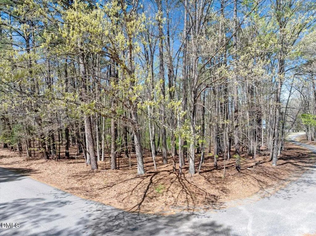 821 Lakepoint Drive, Clarksville