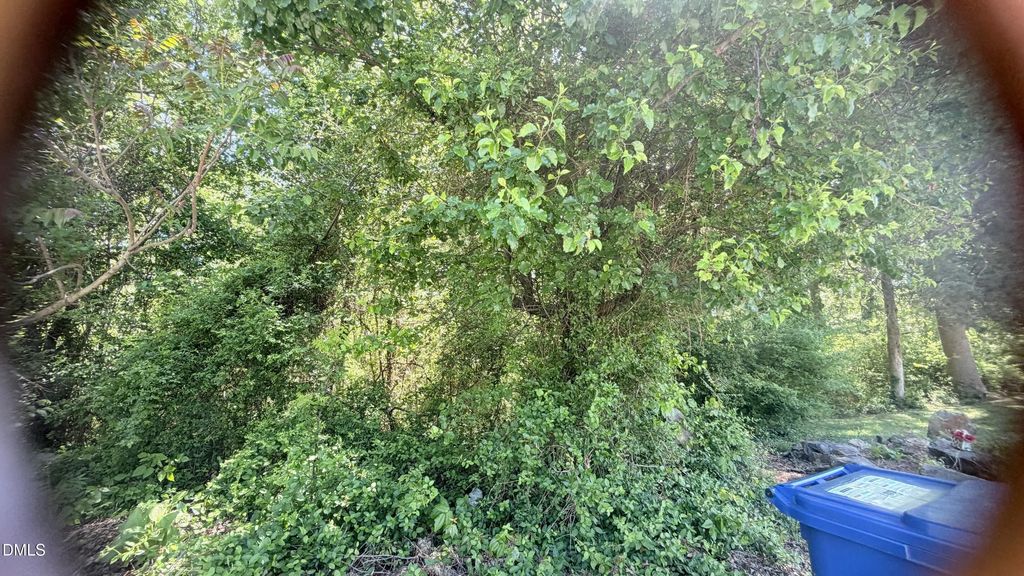 1707 Wind Sound Way, Siler City
