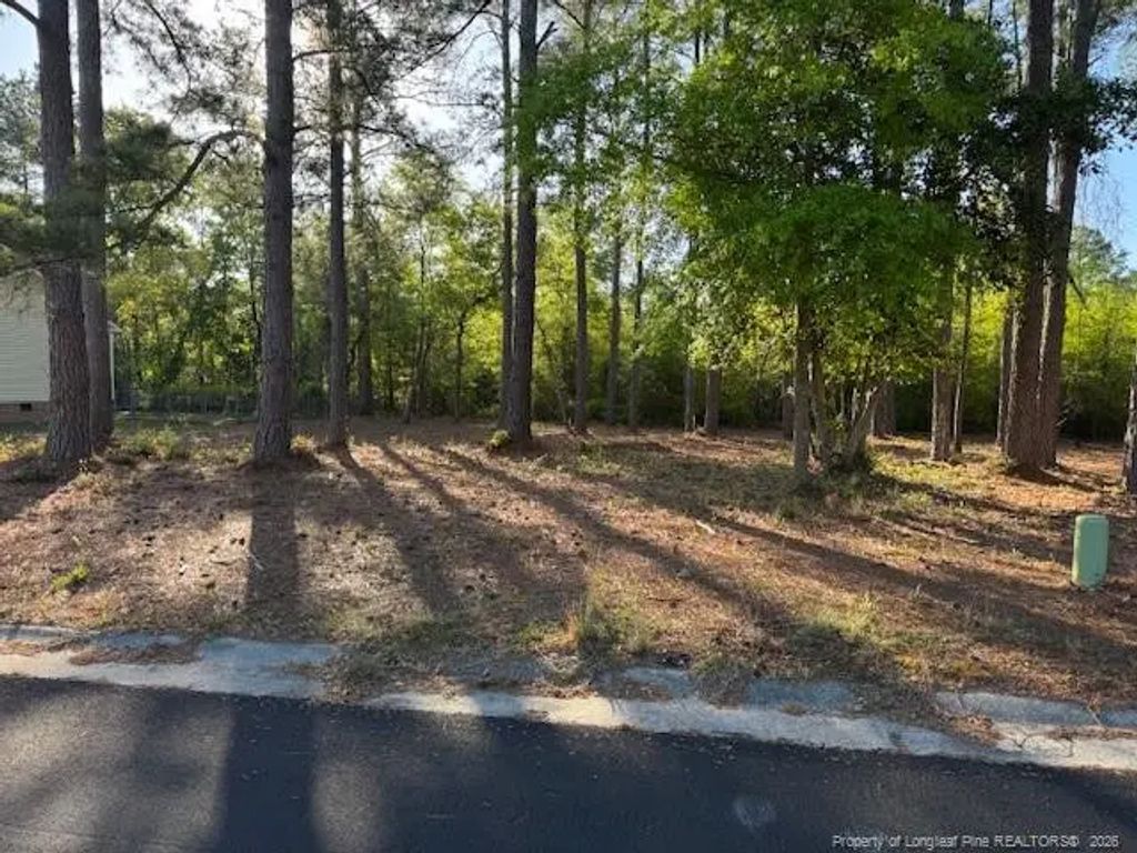 213 Waddell Drive, Fayetteville