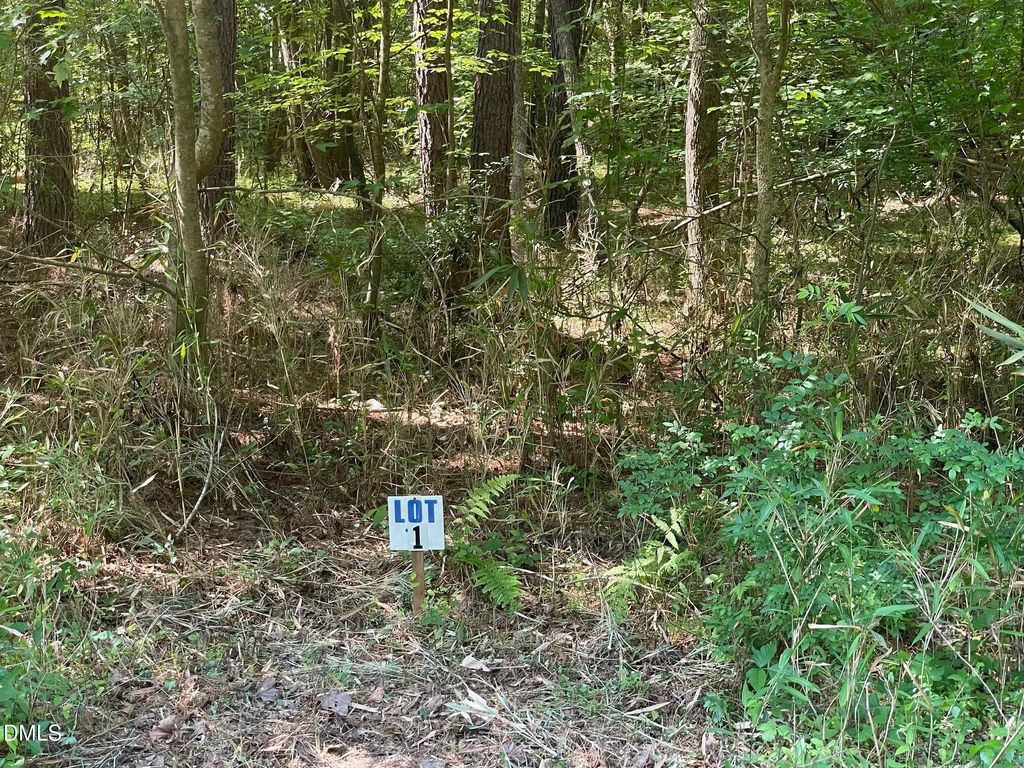 0 N Landmark Road, Willow Springs