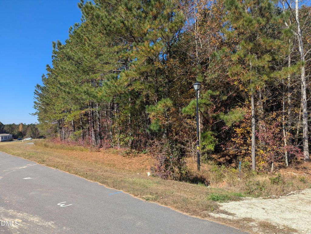 0 Sandy Plains Lane, Warrenton