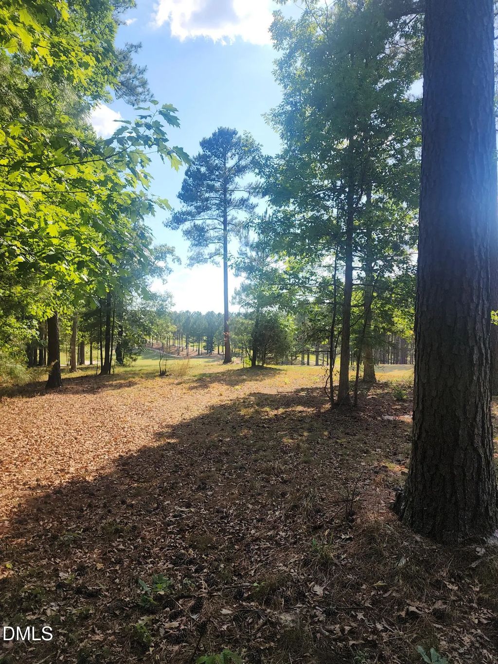 65 High Ridge Lane, Pittsboro