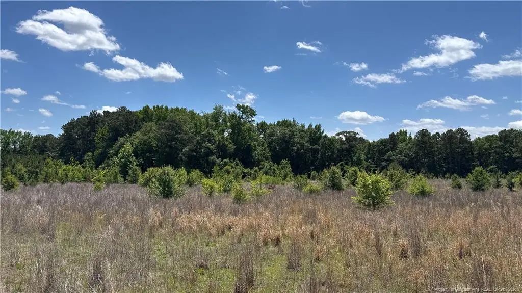 Snipes Road, Red Springs