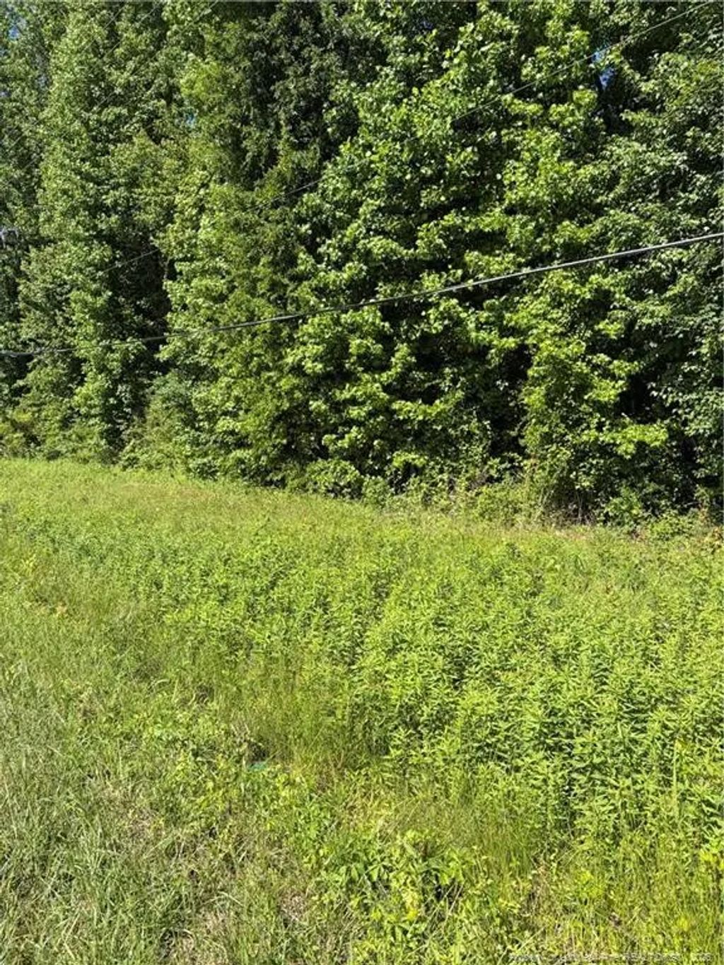 Lemon Springs Road, Sanford