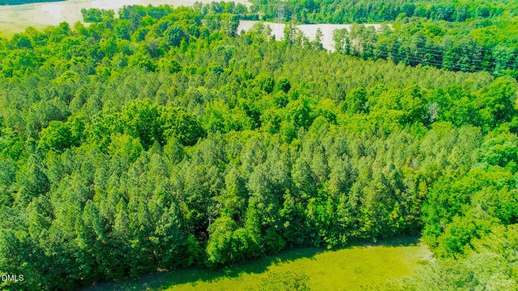 10.19 Acre Orange Grove Road, Hillsborough