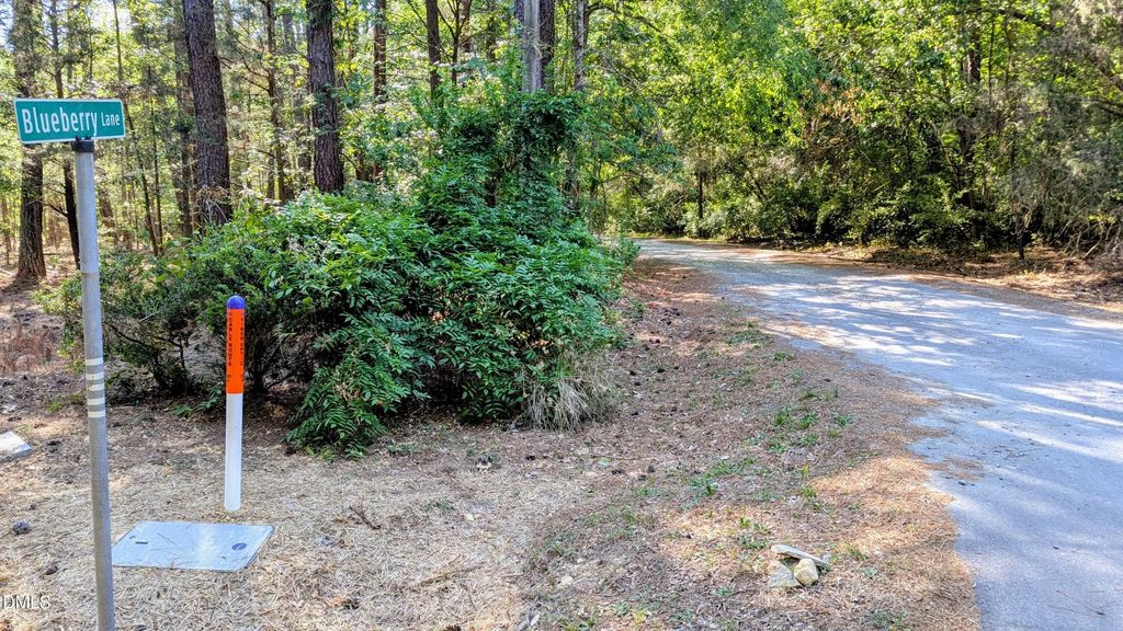Lot 1 Blueberry Lane, Chapel Hill