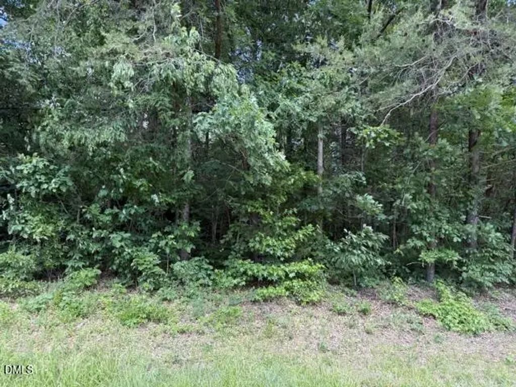 2.028 Mt Willing Road, Efland