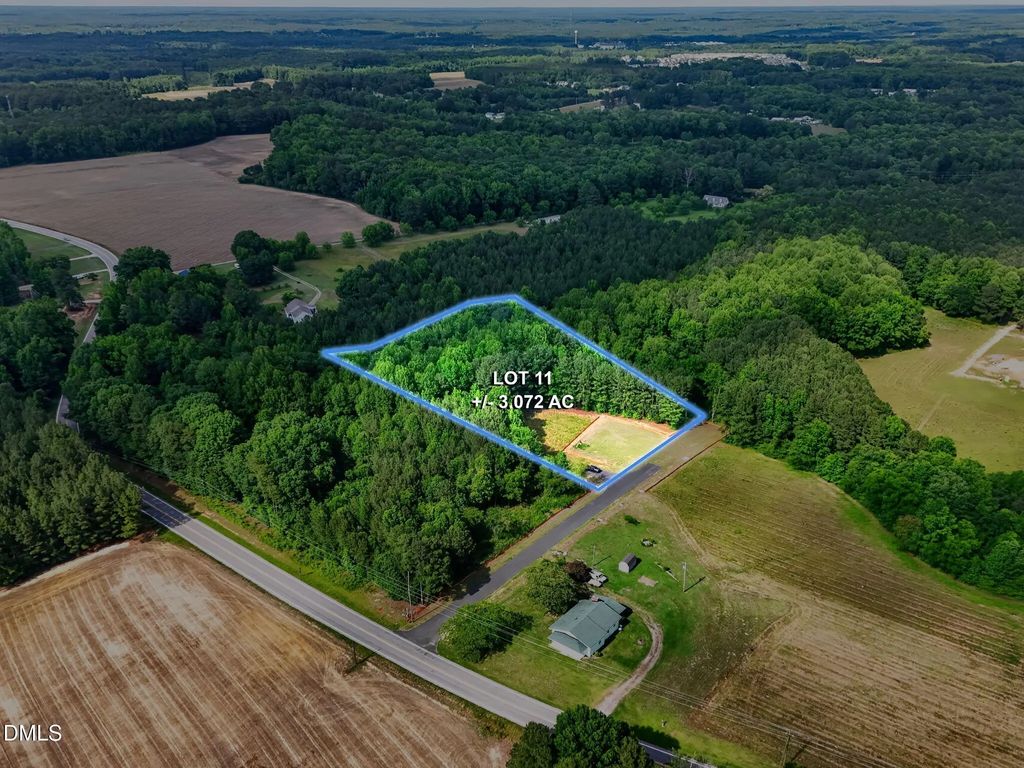 10317 Basmati Trail, Zebulon