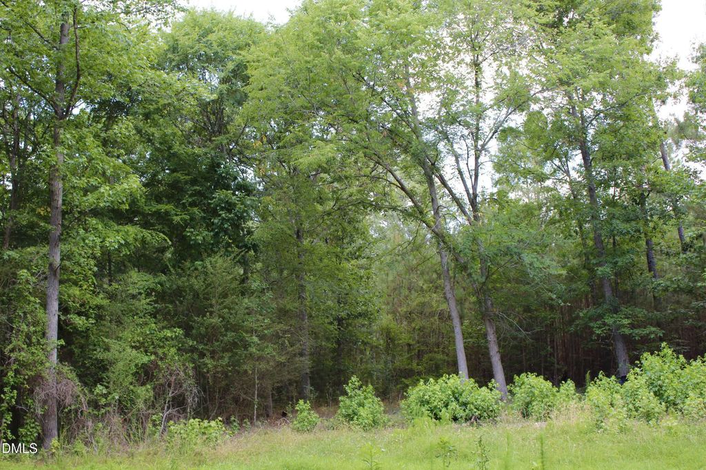 1920 Alston Chapel Road, Pittsboro