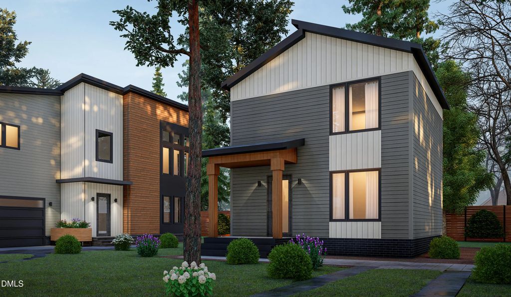 1103 Elmira Avenue A, Durham