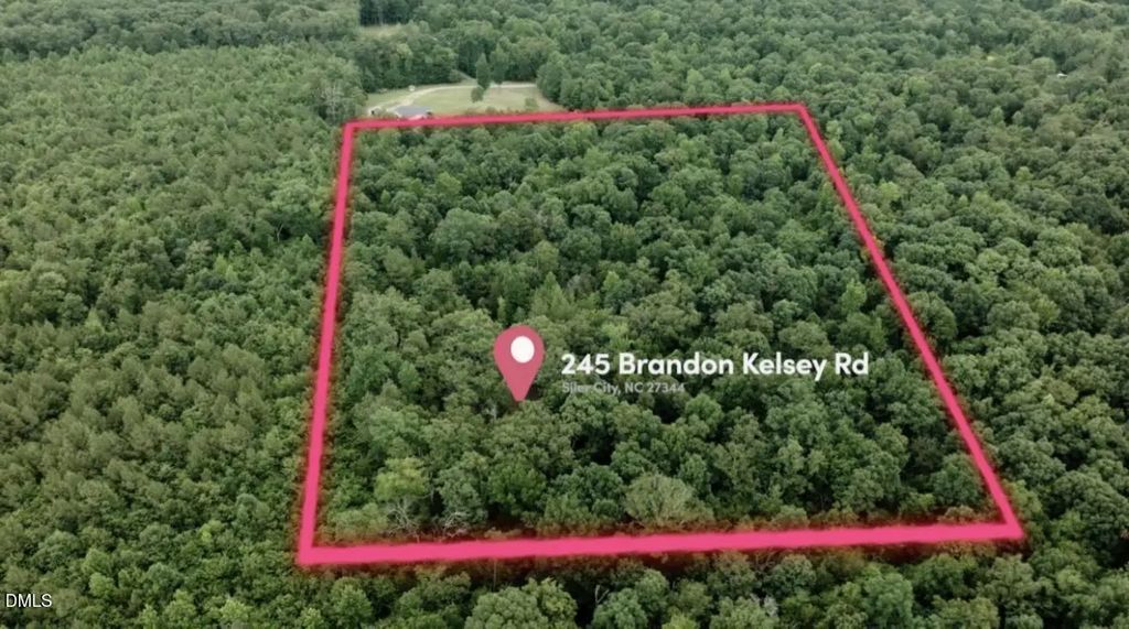 245 Brandon-kelsey Drive, Siler City