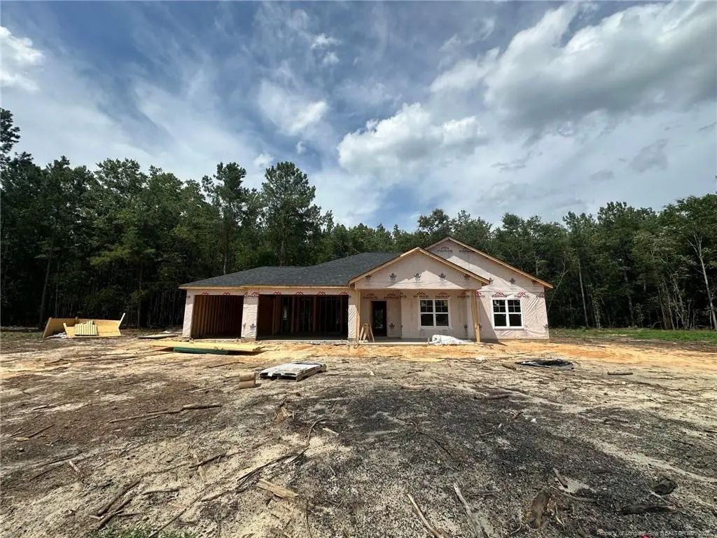 175 Blessing Lane, Raeford