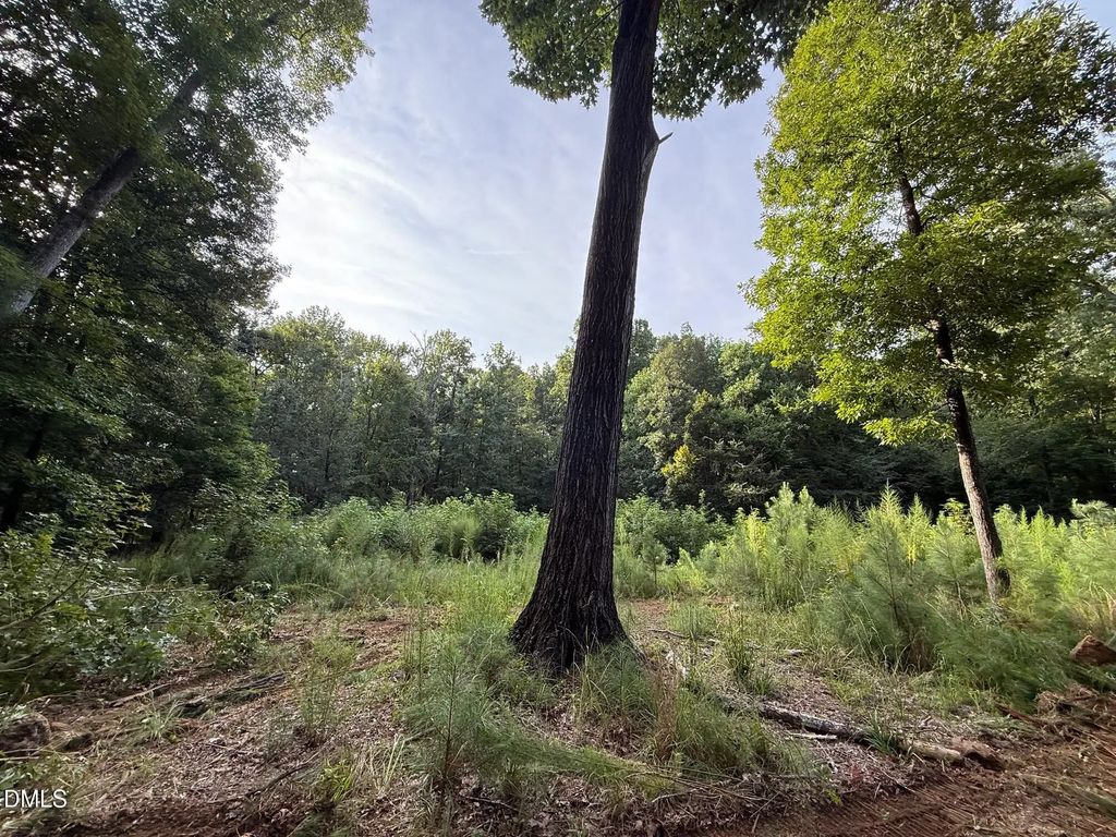 Lot 1 Orange Grv Street, Hillsborough