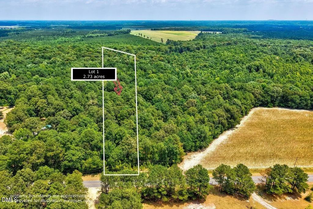 Lot 1 Ruth Vinson Road, Autryville